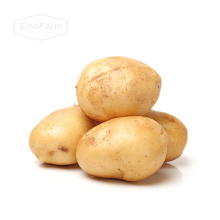 Best crop of fresh potatoes prices of potato from Chinese factory